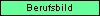 Berufsbild